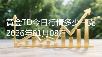 黄金TD今日行情多少一克2026年01月08日