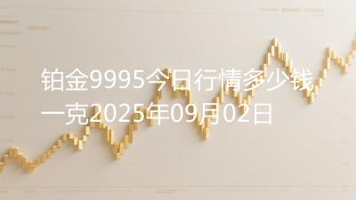 铂金9995今日行情多少钱一克2025年09月02日