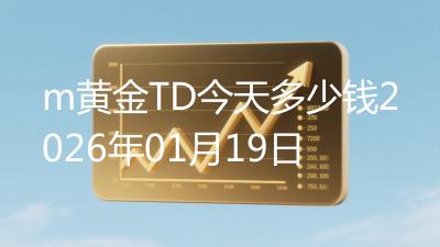 m黄金TD今天多少钱2026年01月19日