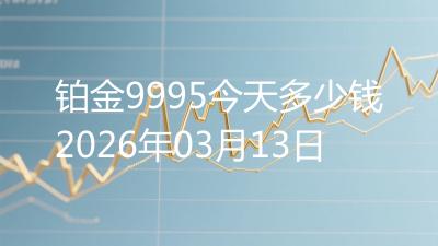 铂金9995今天多少钱2026年03月13日