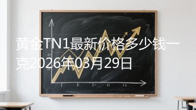 黄金TN1最新价格多少钱一克2026年03月29日