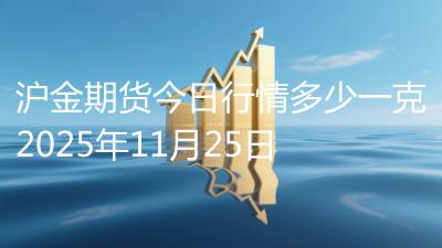 沪金期货今日行情多少一克2025年11月25日