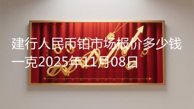 建行人民币铂市场报价多少钱一克2025年11月08日