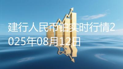 建行人民币铂实时行情2025年08月12日