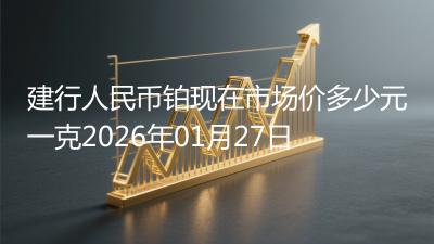 建行人民币铂现在市场价多少元一克2026年01月27日