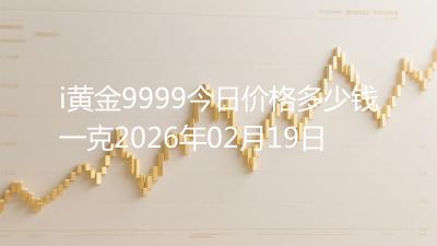 i黄金9999今日价格多少钱一克2026年02月19日