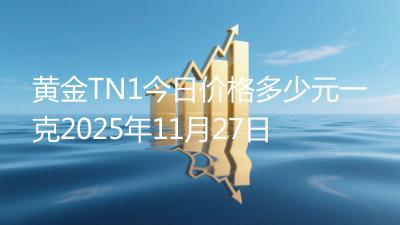 黄金TN1今日价格多少元一克2025年11月27日