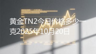 黄金TN2今日价格多少一克2025年10月20日
