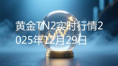 黄金TN2实时行情2025年12月29日