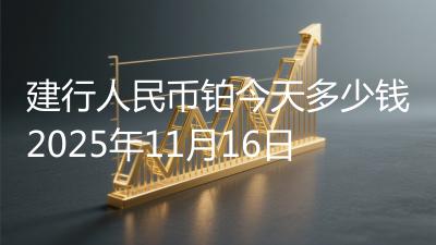 建行人民币铂今天多少钱2025年11月16日