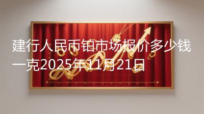 建行人民币铂市场报价多少钱一克2025年11月21日