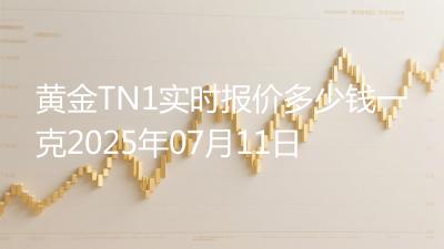 黄金TN1实时报价多少钱一克2025年07月11日