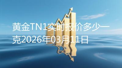 黄金TN1实时报价多少一克2026年03月11日
