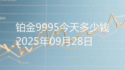 铂金9995今天多少钱2025年09月28日
