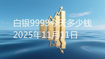 白银9999今天多少钱2025年11月11日