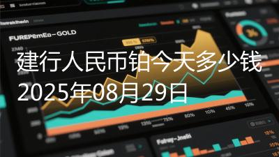 建行人民币铂今天多少钱2025年08月29日