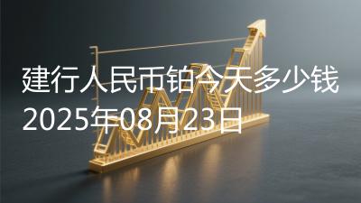 建行人民币铂今天多少钱2025年08月23日