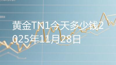 黄金TN1今天多少钱2025年11月28日