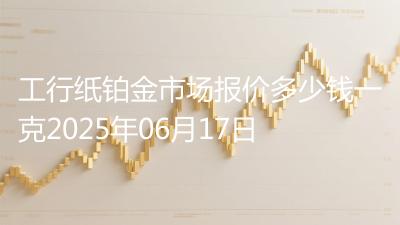工行纸铂金市场报价多少钱一克2025年06月17日