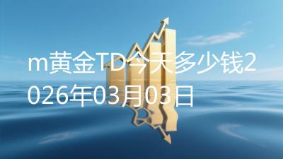 m黄金TD今天多少钱2026年03月03日