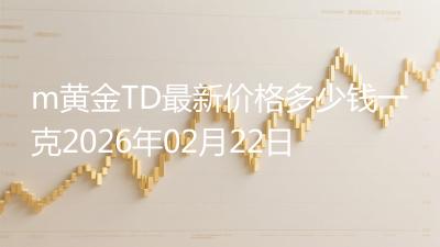 m黄金TD最新价格多少钱一克2026年02月22日