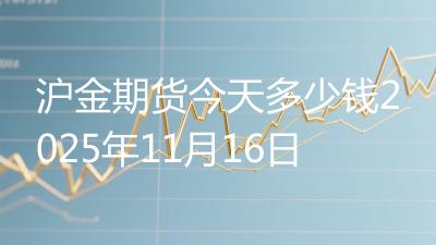 沪金期货今天多少钱2025年11月16日