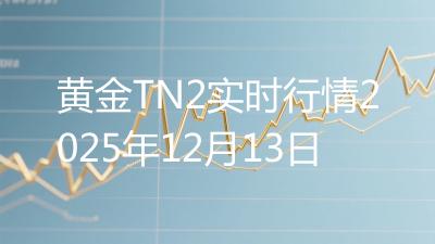 黄金TN2实时行情2025年12月13日