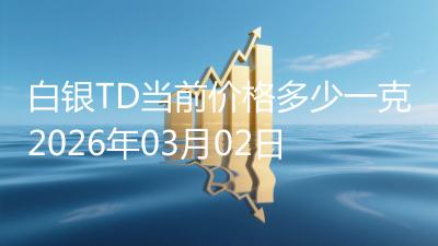 白银TD当前价格多少一克2026年03月02日