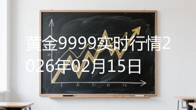 黄金9999实时行情2026年02月15日