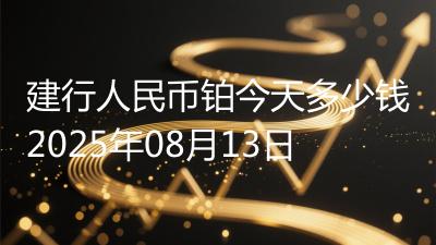 建行人民币铂今天多少钱2025年08月13日