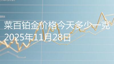 菜百铂金价格今天多少一克2025年11月28日