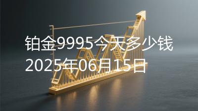铂金9995今天多少钱2025年06月15日