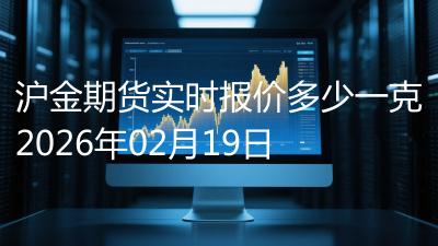 沪金期货实时报价多少一克2026年02月19日