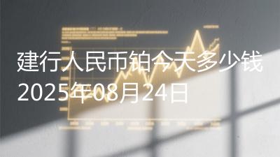 建行人民币铂今天多少钱2025年08月24日
