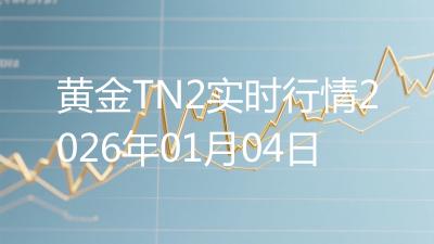 黄金TN2实时行情2026年01月04日
