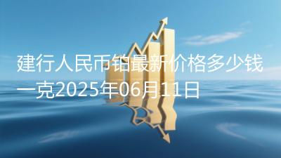 建行人民币铂最新价格多少钱一克2025年06月11日