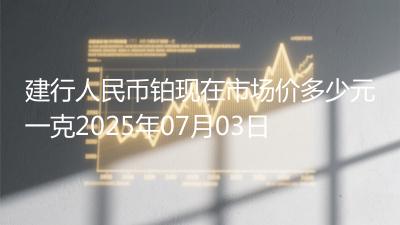 建行人民币铂现在市场价多少元一克2025年07月03日