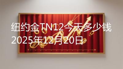 纽约金TN12今天多少钱2025年12月20日