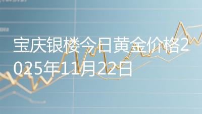 宝庆银楼今日黄金价格2025年11月22日