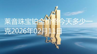 莱音珠宝铂金价格今天多少一克2026年02月11日