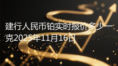 建行人民币铂实时报价多少一克2025年11月16日