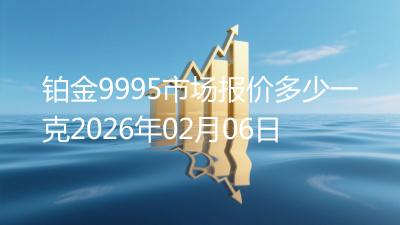铂金9995市场报价多少一克2026年02月06日