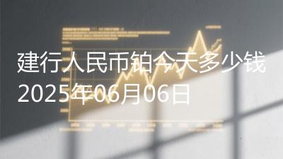 建行人民币铂今天多少钱2025年06月06日