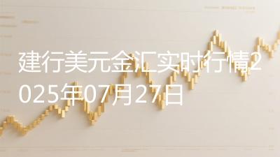 建行美元金汇实时行情2025年07月27日