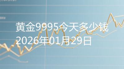 黄金9995今天多少钱2026年01月29日