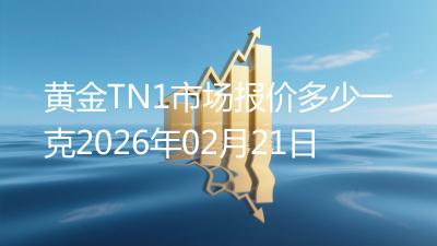 黄金TN1市场报价多少一克2026年02月21日