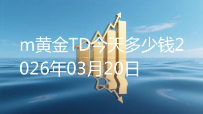 m黄金TD今天多少钱2026年03月20日