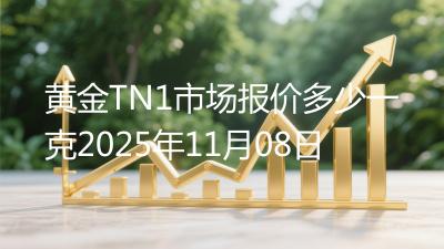 黄金TN1市场报价多少一克2025年11月08日