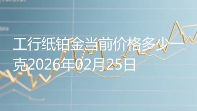 工行纸铂金当前价格多少一克2026年02月25日