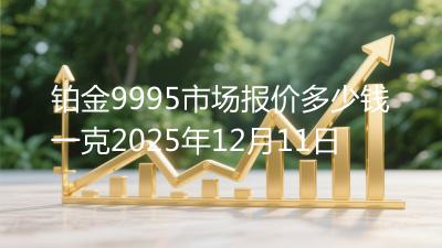 铂金9995市场报价多少钱一克2025年12月11日